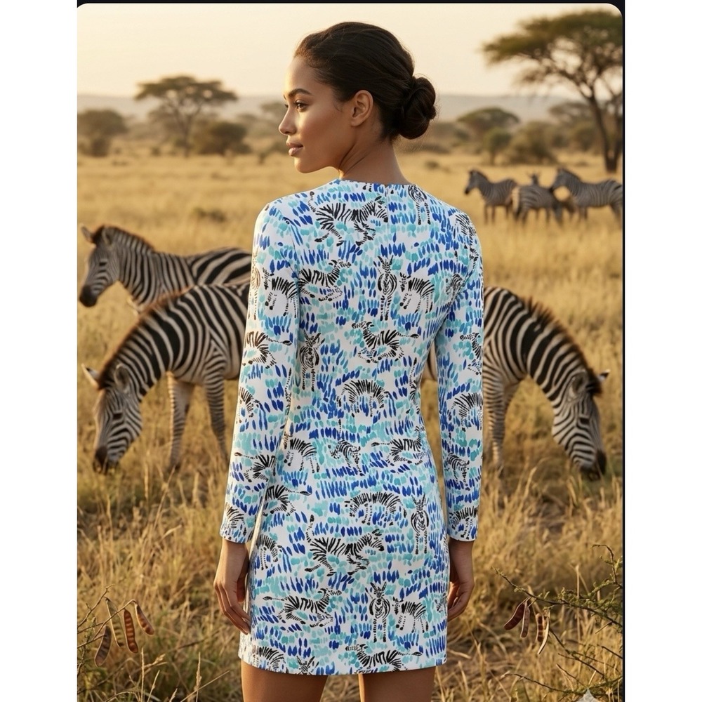 Ibkul Zebra Blue Mesh V-Neck Pull Over Long Sleeve Dress Small Animal Print
